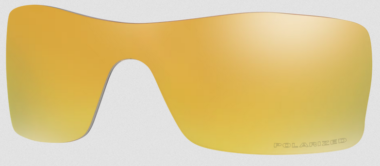 Oakley batwolf top prizm lenses