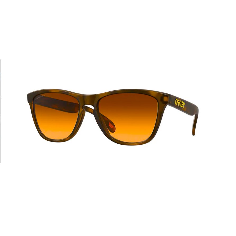 Buy Oakley Frogskins Online in Australia Eyesports Eyesports